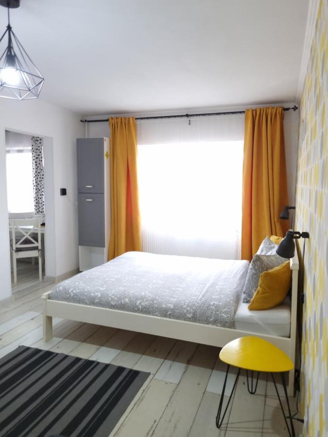 Dream Studio 2 Petrosani Apartment Luaran gambar